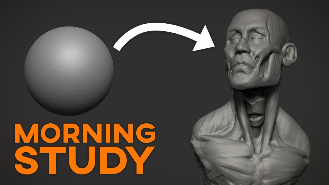 Quick Study | Sculpting study on the head and neck