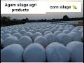 Corn Silage Corn Silage Making Process Makki Da Achar Agam Silage Agri Products