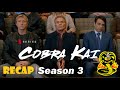 Cobra Kai (Season 3) RECAP in 20 minutes