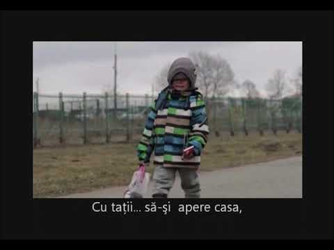 Dan Vasilescu - Străin am fost