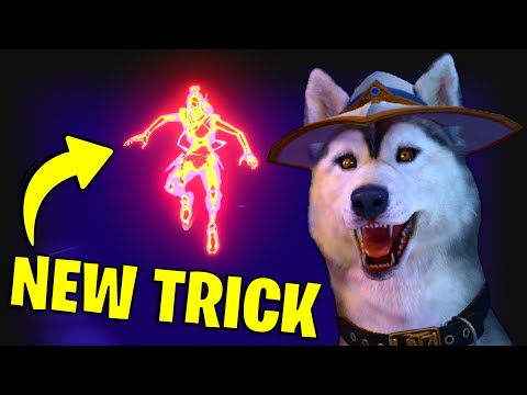 Cypher tricks you NEED to know about