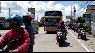 Download lagu story wa bus kupu kupu ayu mp3