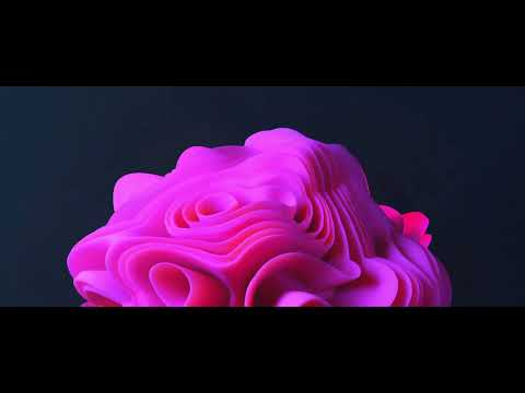 Luis Mint - flores, chocolates y un besito (Visualizer)