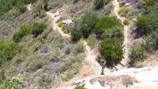 preview picture of video 'Santa Ynez Canyon - Hiking Los Angeles -  (HD)'