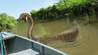 giant snake attacks me..