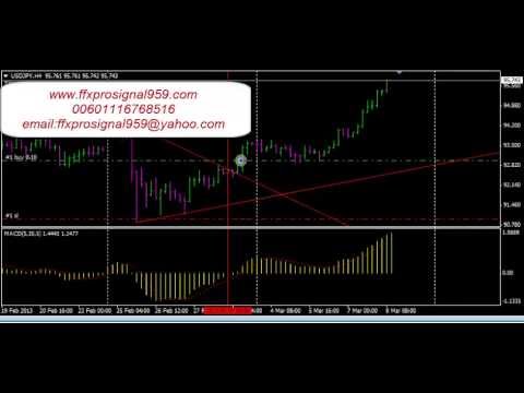 FM Expert Advisor (persian language)1 Serial