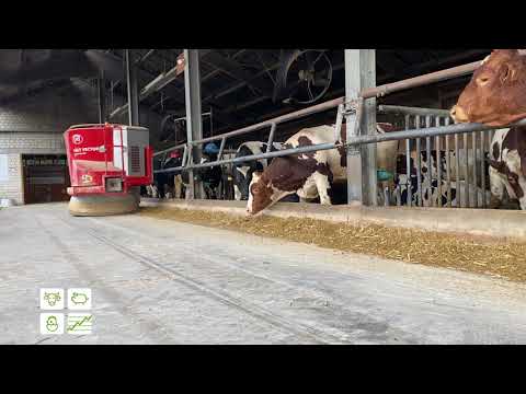 Besuch im Bullenstall Haus Düsse