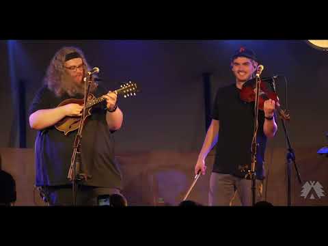 Elephant Sessions' live headline performance (Llwyfan Fforest Stage @Between The Trees 2023)