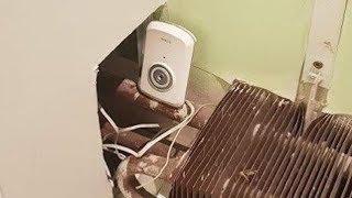 Пара арендовала квартиру у вуайериста