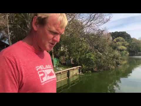 Natures Pond Care YouTube Video