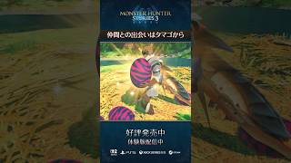 仲間との出会いはタマゴから【MHST3】