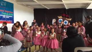 Realidad o Sueños de Jarabe de Palo.