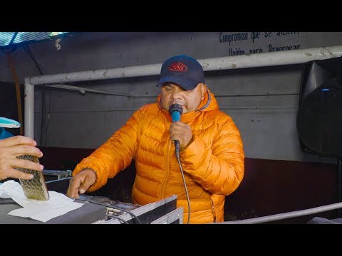 🔥 CORREGIDO Y REMASTERIZADO ((SE QUE NO DEBO QUERERLA)) SONIDO RUMBA CALIENTE EN CUAJIMALPA 4K
