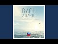 J.S. Bach: Brandenburg Concerto No.5 In D, BWV 1050 - 2. Affetuoso
