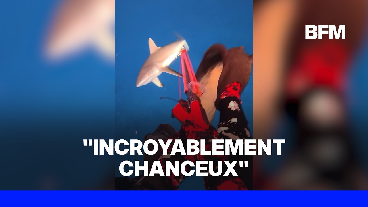 Fidji: un pêcheur sous-marin attaqué par un requin