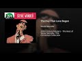 The Day That Love Began - Stevie Wonder