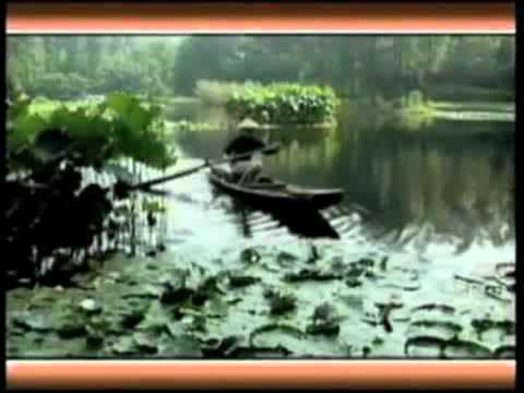 Wei East White Lotus™