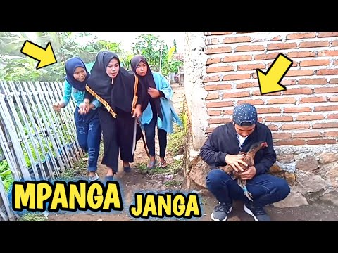 komedi-bima-mpanga-janga-eps-curi-ayam-terkocak-ketangkap