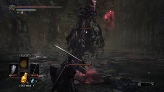 Dark Souls III | Visceral attack, Elder Ghru