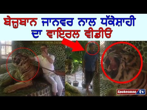 ਥਾਈਲੈਂਡ ਦੇ ਚਿੜੀਆਘਰ 'ਚ ਬੇਜ਼ੁਬਾਨ ਜਾਨਵਰ ਨਾਲ ਧੱਕੇਸ਼ਾਹੀ ਦਾ ਵਾਇਰਲ ਵੀਡੀਓ