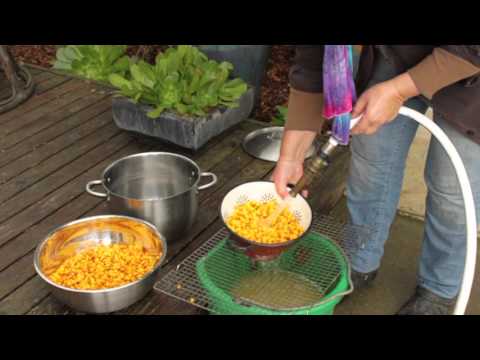 Make Organic Corn Tortillas From Scratch - With Whole...