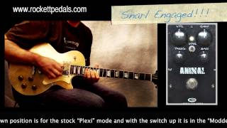 Video thumbnail for J. Rockett Audio Designs Animal Overdrive by Mike Hermans
