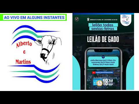 LEILÃO ALBERTO e MARTINS 18/07/2025 AS 18:00 hs em Cachoeira Alta Go.
