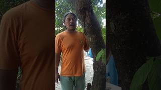 Download lagu Mau ketawa takut dosa video lucu bikin ngakak funny videos viral video mp3