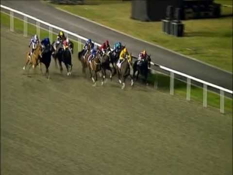 Ichiban-Trip Collection: DWC-2010, Dubai Golden Shaheen