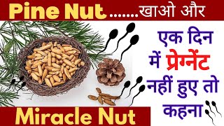 QUICK & EASY PREGNANCY TIPS l Pine Nut 🥜 For Getting Pregnant l  #heenabehealthy