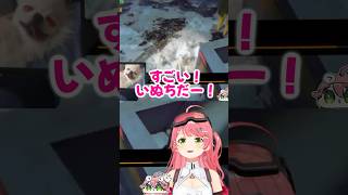 いぬち暴走 （R.E.P.O.の犬の方）【 百鬼あやめ さくらみこ🌸 戌神ころね🥐 不知火フレア🔥 ホロ突発R.E.P.O.  】 #ホロライブ切り抜き