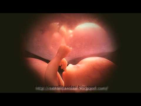 Padre F.Pavone - Dolor fetal.