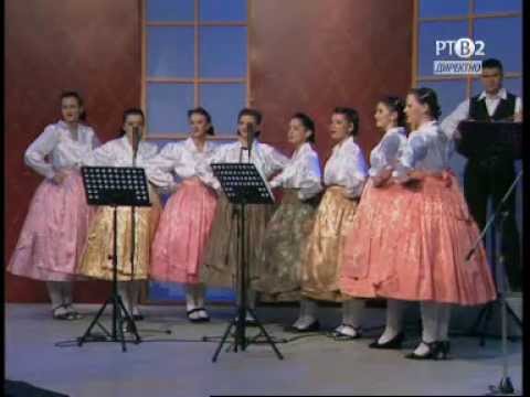 OJ,TI, HALJU -  Kocurski krasavici