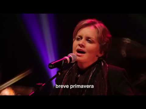 Marcus Viana e Gabi Drummond - Sete Vidas ( A Casa Das Sete Mulheres)