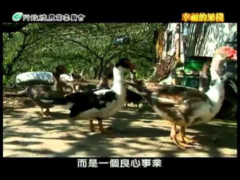 幸福的果棧--鍾文祥