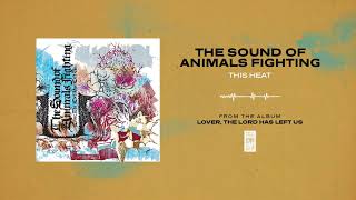 The Sound Of Animals Fighting &quot;This Heat&quot;