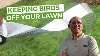 How To Keep Birds Off Your Lawn & Other Updates