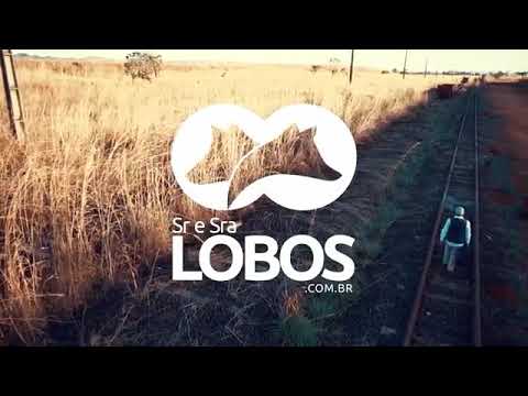 TREM BALA RUMO AO CÉU - PARÓDIA