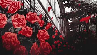 kali uchis - i wish you roses slowed + reverb