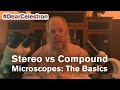 Stereo Versus Compound Microscopes: The Basics