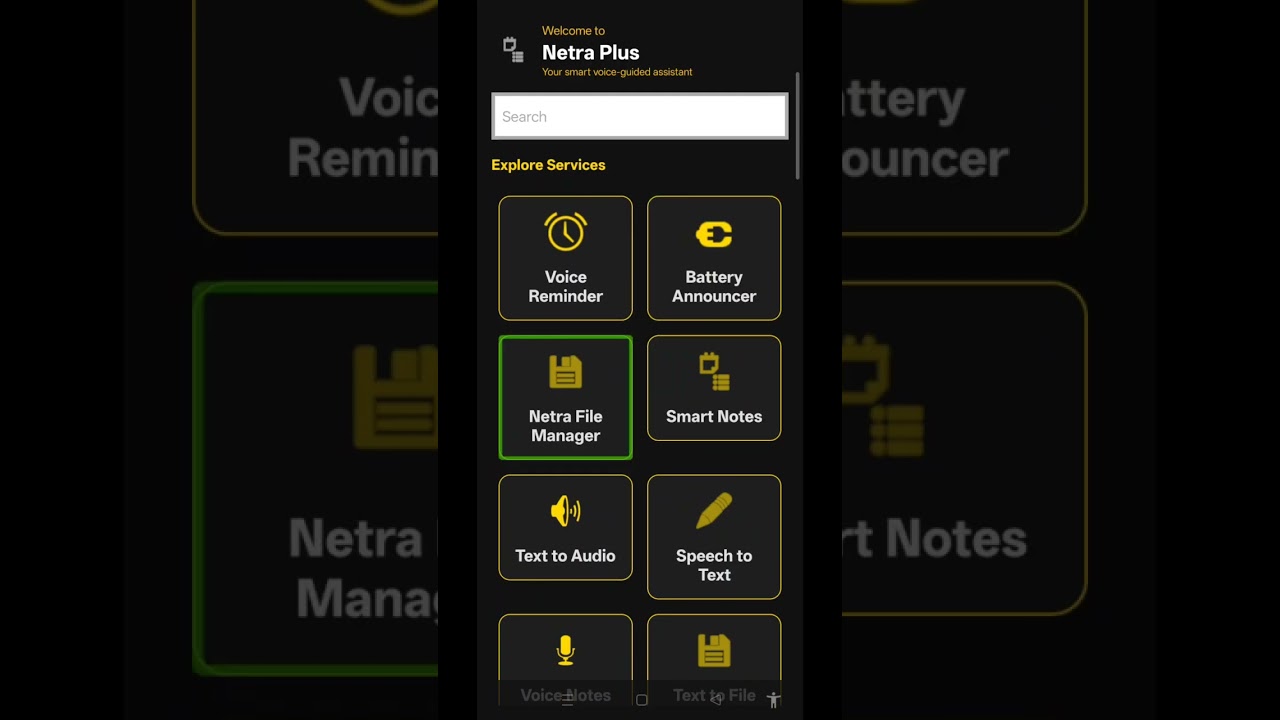 Netra Plus AI Vision For Blind Your smart voice-guided assistant exclusive Multiple features 