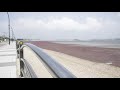Jebu Island Mud Flats - Free 4K Stock Footage