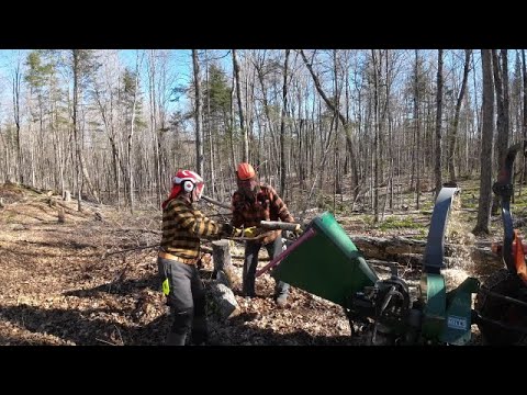 752 Oregon CS300 Electric Limbing Saw. Chipping and Limbing. Woodland Mills WC68 Chipper.   4K