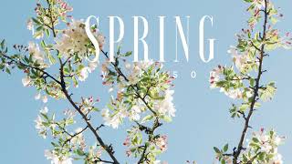 Ikson - Spring (Official)