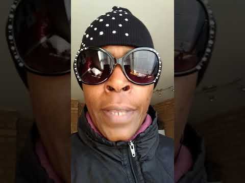 MARY-LEE'$ TWO CATS VIDEO...