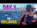 Day 3 In Sri Lanka International Cruise Experience With My Friends Gabriella Charlton