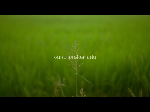 Tester - Letter After Rain | CineFilm Action Film