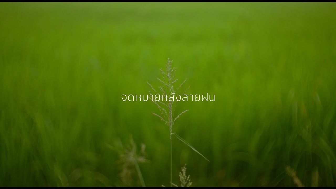 Tester - Letter After Rain | CineFilm Action Film