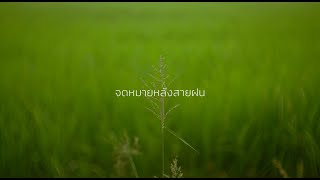 Tester - Letter After Rain | CineFilm Action Film