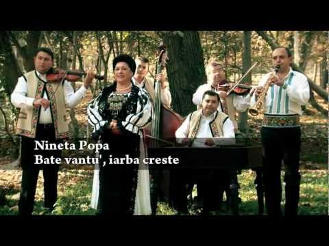Nineta Popa Ionescu-Bate vantu', iarba creste